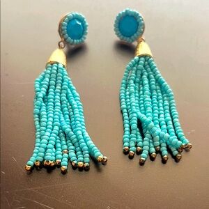Turquoise Beaded Tassel Earrings